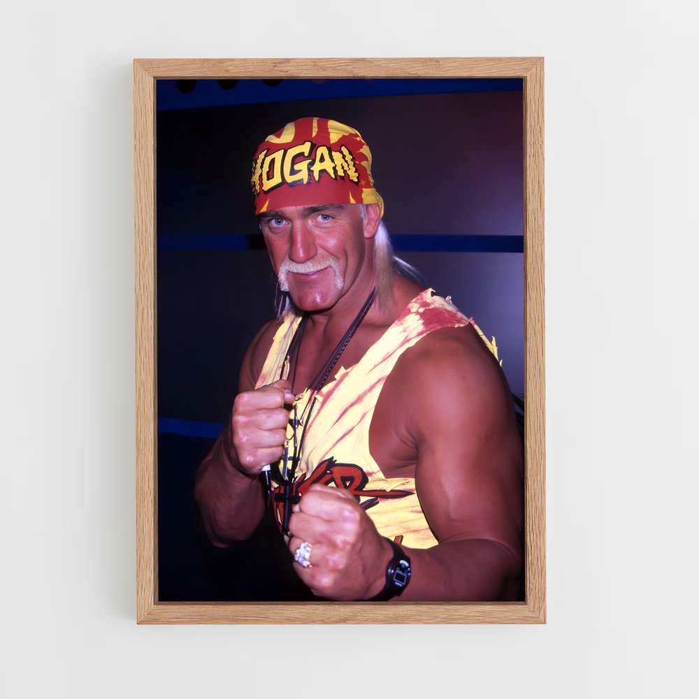 Poster Hulk de hogan (vue 4)